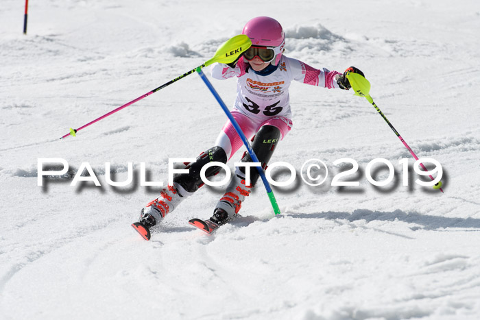 DSV Deutscher Schülercup U12 Finale 2019, Slalom Cross 03.03.2019