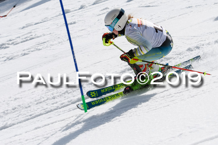 DSV Deutscher Schülercup U12 Finale 2019, Slalom Cross 03.03.2019