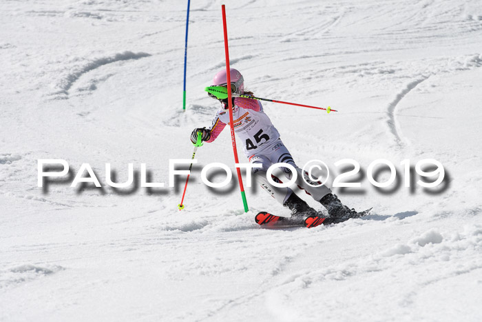 DSV Deutscher Schülercup U12 Finale 2019, Slalom Cross 03.03.2019