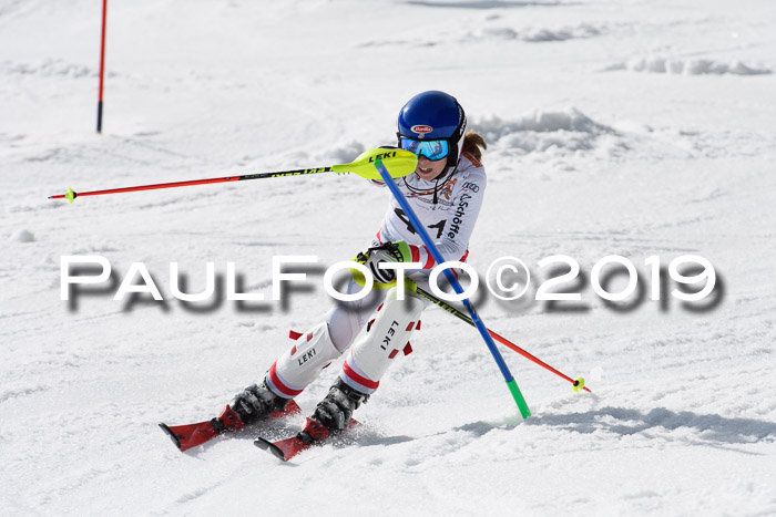 DSV Deutscher Schülercup U12 Finale 2019, Slalom Cross 03.03.2019