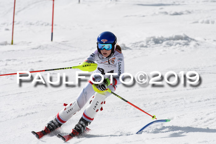 DSV Deutscher Schülercup U12 Finale 2019, Slalom Cross 03.03.2019
