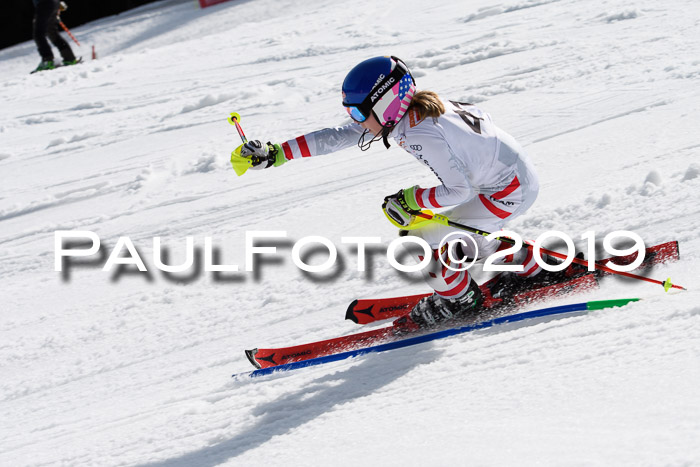 DSV Deutscher Schülercup U12 Finale 2019, Slalom Cross 03.03.2019