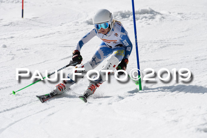 DSV Deutscher Schülercup U12 Finale 2019, Slalom Cross 03.03.2019