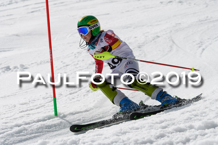 DSV Deutscher Schülercup U12 Finale 2019, Slalom Cross 03.03.2019
