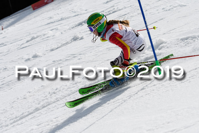 DSV Deutscher Schülercup U12 Finale 2019, Slalom Cross 03.03.2019