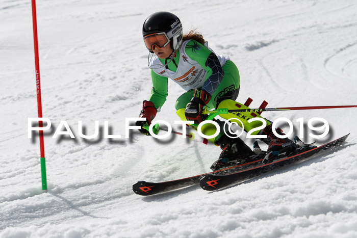 DSV Deutscher Schülercup U12 Finale 2019, Slalom Cross 03.03.2019