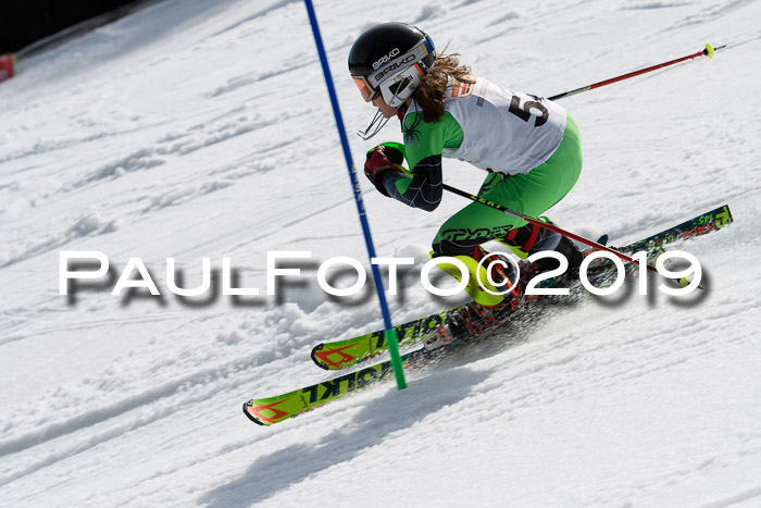 DSV Deutscher Schülercup U12 Finale 2019, Slalom Cross 03.03.2019