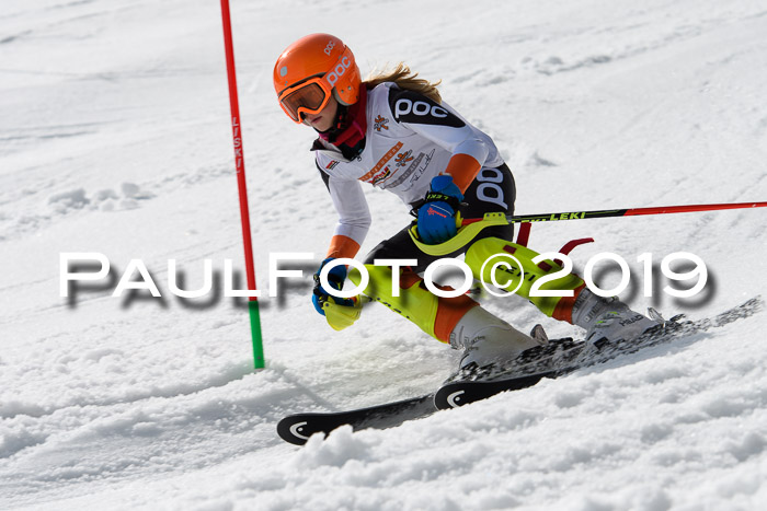 DSV Deutscher Schülercup U12 Finale 2019, Slalom Cross 03.03.2019