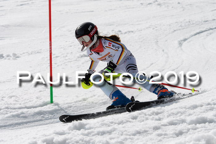 DSV Deutscher Schülercup U12 Finale 2019, Slalom Cross 03.03.2019