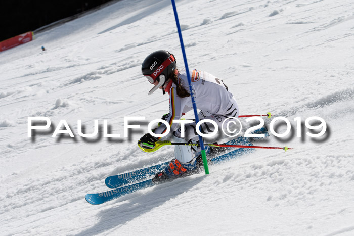 DSV Deutscher Schülercup U12 Finale 2019, Slalom Cross 03.03.2019