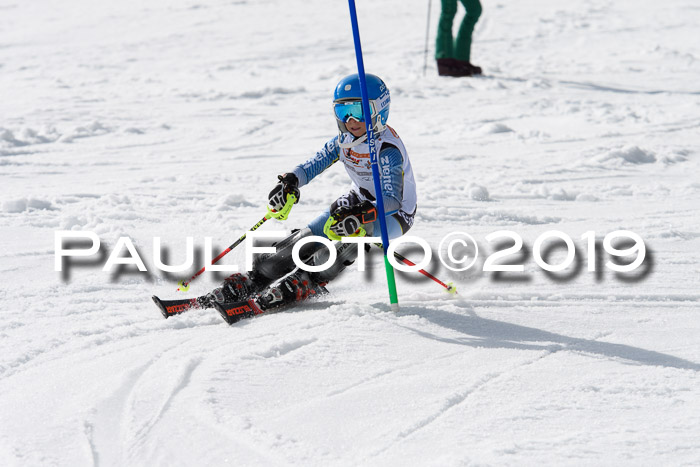 DSV Deutscher Schülercup U12 Finale 2019, Slalom Cross 03.03.2019