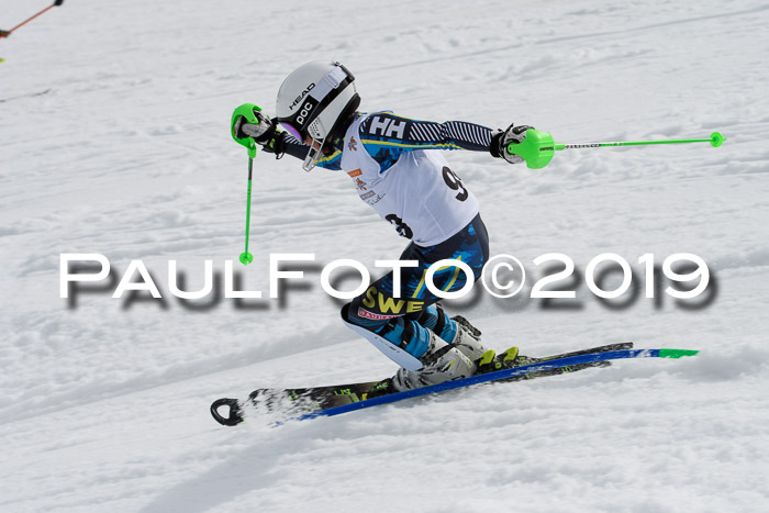 DSV Deutscher Schülercup U12 Finale 2019, Slalom Cross 03.03.2019