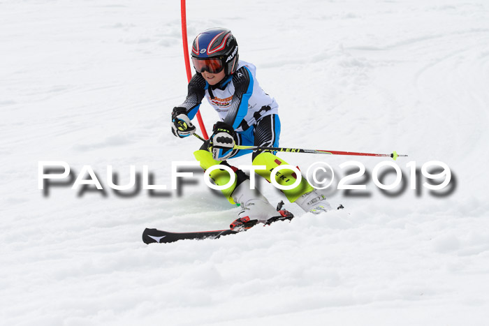 DSV Deutscher Schülercup U12 Finale 2019, Slalom Cross 03.03.2019