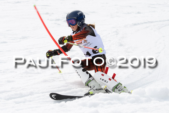 DSV Deutscher Schülercup U12 Finale 2019, Slalom Cross 03.03.2019