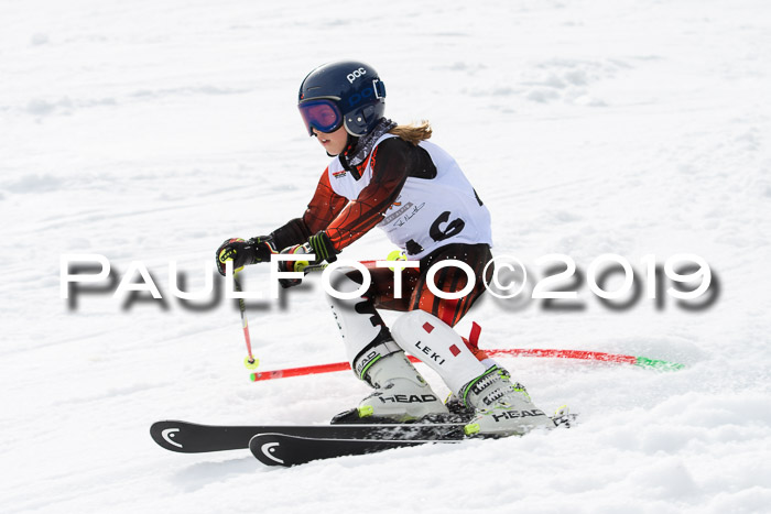 DSV Deutscher Schülercup U12 Finale 2019, Slalom Cross 03.03.2019