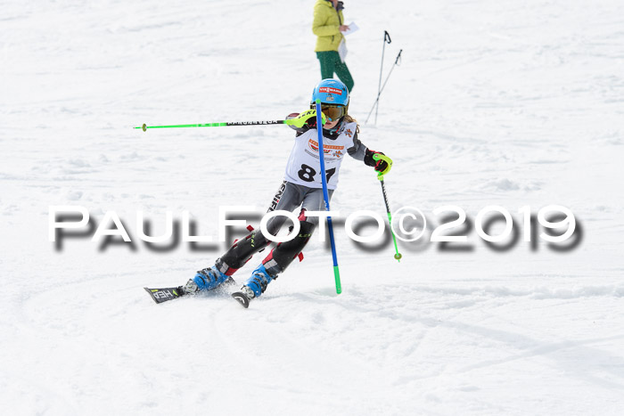 DSV Deutscher Schülercup U12 Finale 2019, Slalom Cross 03.03.2019