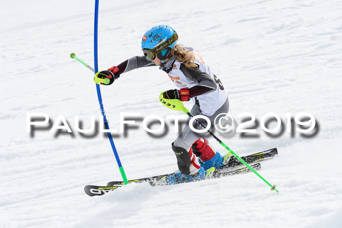 DSV Deutscher Schülercup U12 Finale 2019, Slalom Cross 03.03.2019
