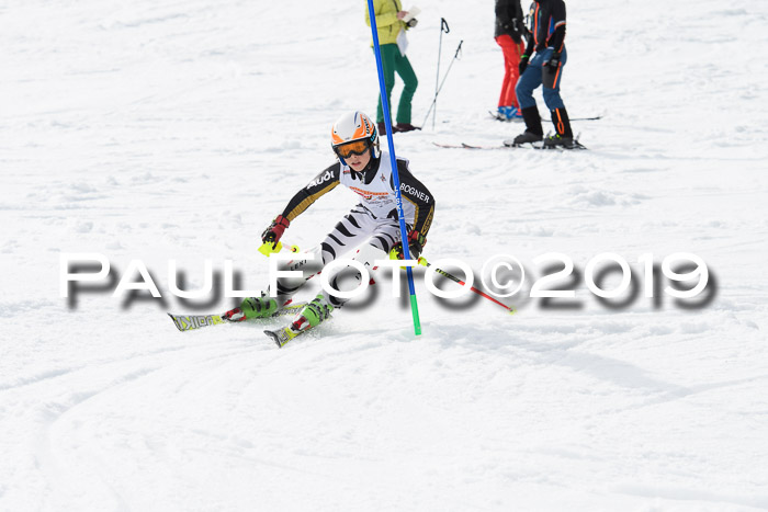 DSV Deutscher Schülercup U12 Finale 2019, Slalom Cross 03.03.2019