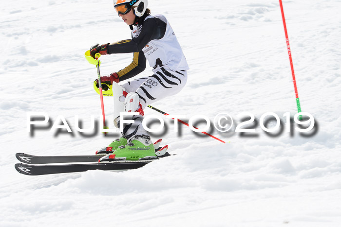 DSV Deutscher Schülercup U12 Finale 2019, Slalom Cross 03.03.2019