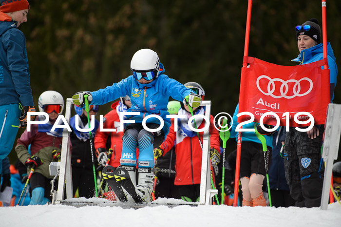 DSV Deutscher Schülercup Finale U12 Team PSL 04.03.2019