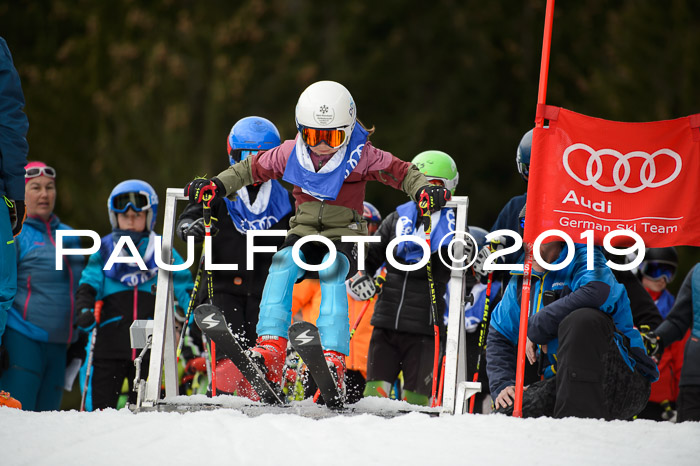 DSV Deutscher Schülercup Finale U12 Team PSL 04.03.2019