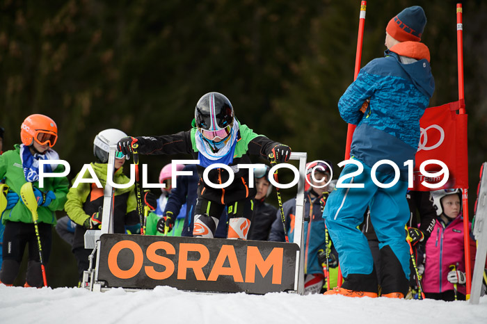 DSV Deutscher Schülercup Finale U12 Team PSL 04.03.2019
