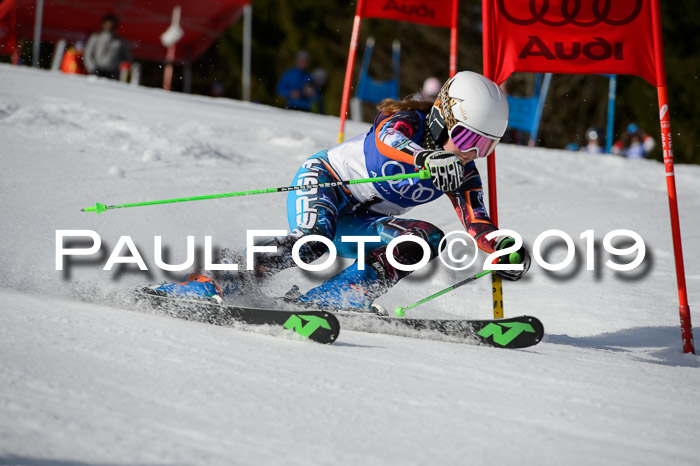 DSV Deutscher Schülercup Finale U12 Team PSL 04.03.2019