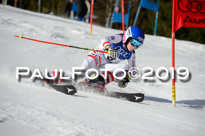 DSV Deutscher Schülercup Finale U12 Team PSL 04.03.2019