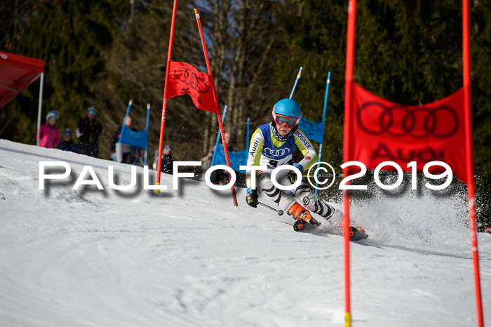 DSV Deutscher Schülercup Finale U12 Team PSL 04.03.2019