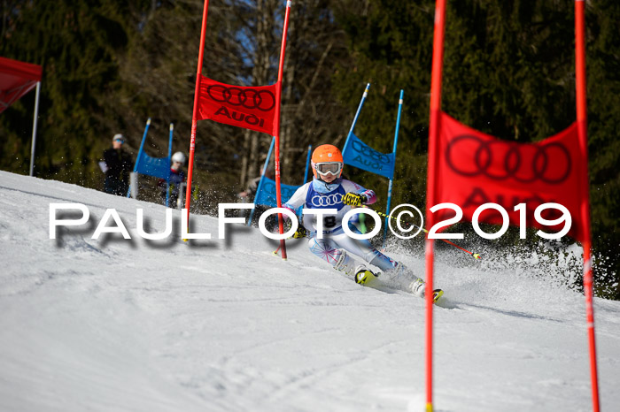 DSV Deutscher Schülercup Finale U12 Team PSL 04.03.2019