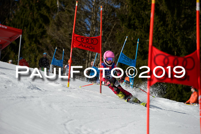 DSV Deutscher Schülercup Finale U12 Team PSL 04.03.2019