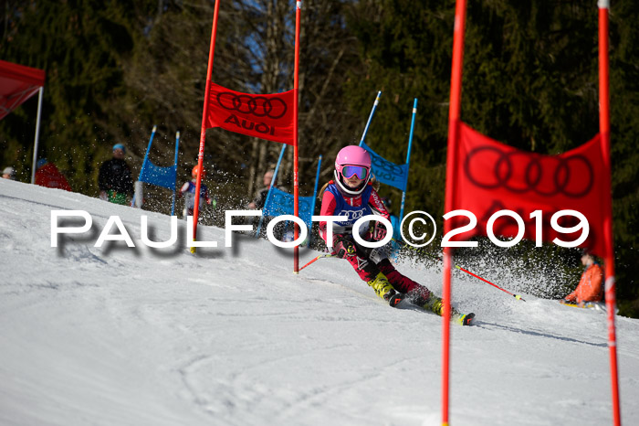 DSV Deutscher Schülercup Finale U12 Team PSL 04.03.2019