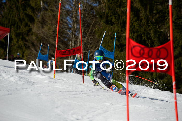 DSV Deutscher Schülercup Finale U12 Team PSL 04.03.2019