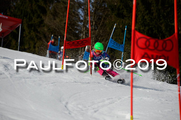 DSV Deutscher Schülercup Finale U12 Team PSL 04.03.2019