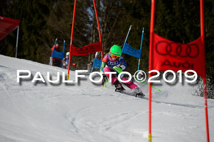 DSV Deutscher Schülercup Finale U12 Team PSL 04.03.2019