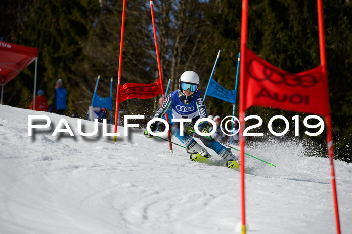 DSV Deutscher Schülercup Finale U12 Team PSL 04.03.2019