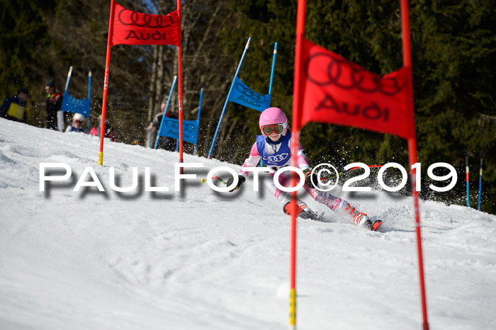 DSV Deutscher Schülercup Finale U12 Team PSL 04.03.2019