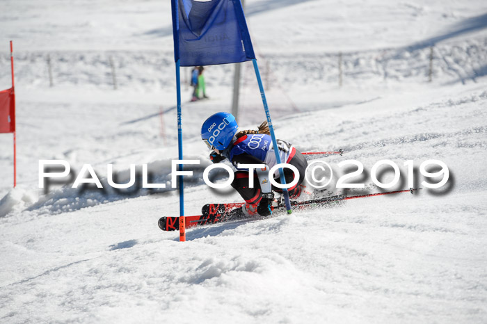 DSV Deutscher Schülercup Finale U12 Team PSL 04.03.2019