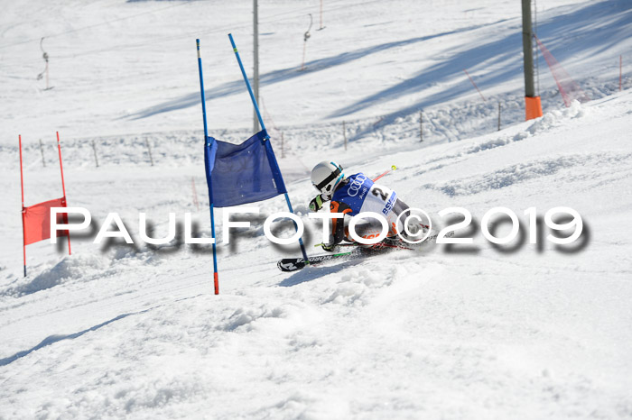 DSV Deutscher Schülercup Finale U12 Team PSL 04.03.2019