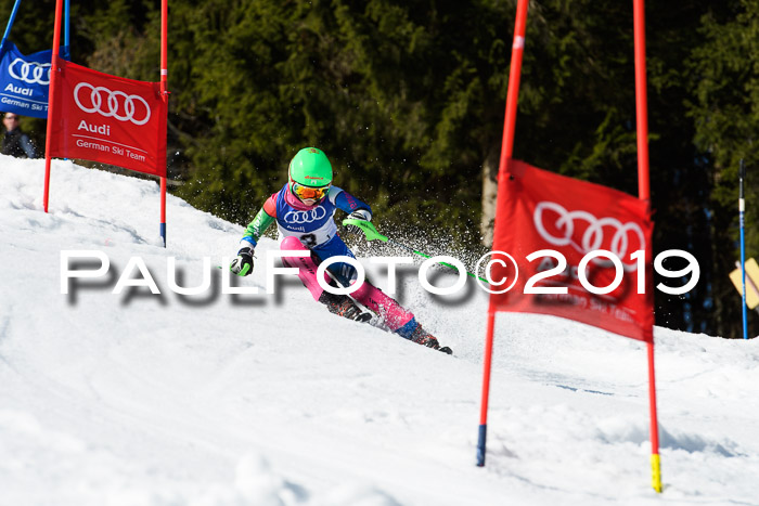 DSV Deutscher Schülercup Finale U12 Team PSL 04.03.2019