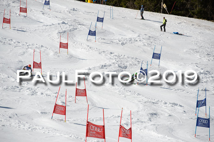 DSV Deutscher Schülercup Finale U12 Team PSL 04.03.2019
