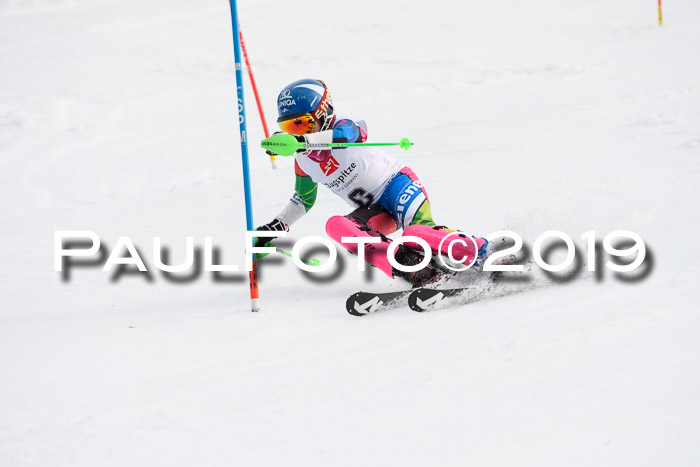 8. BZB CUP SL, 06.03.2019, Gudiberg