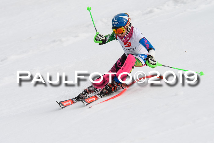 8. BZB CUP SL, 06.03.2019, Gudiberg