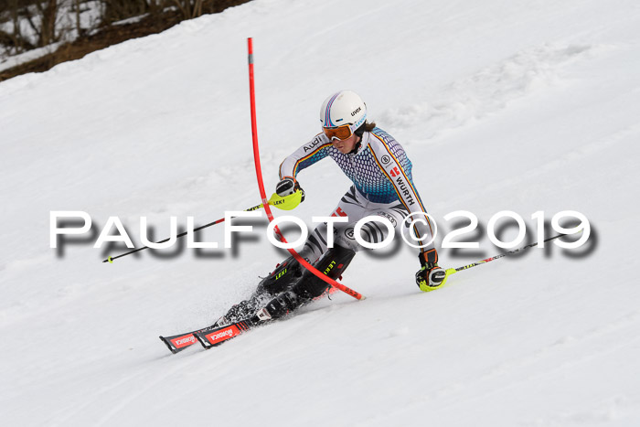 8. BZB CUP SL, 06.03.2019, Gudiberg