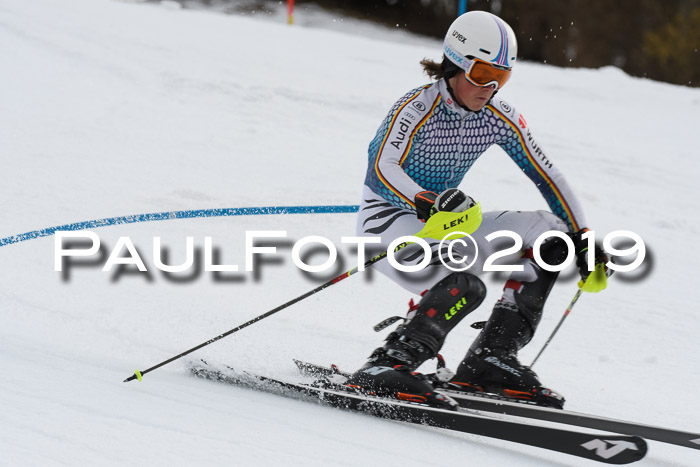 8. BZB CUP SL, 06.03.2019, Gudiberg