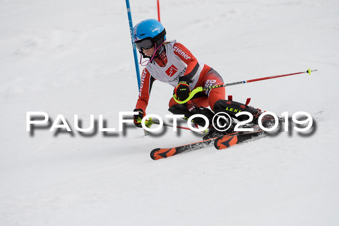 8. BZB CUP SL, 06.03.2019, Gudiberg