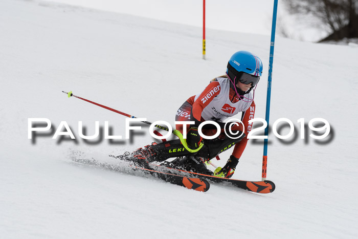 8. BZB CUP SL, 06.03.2019, Gudiberg