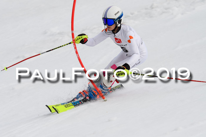 8. BZB CUP SL, 06.03.2019, Gudiberg