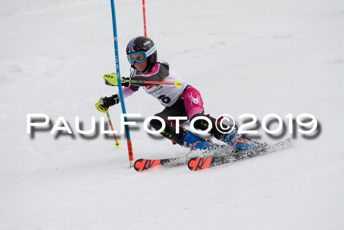 8. BZB CUP SL, 06.03.2019, Gudiberg
