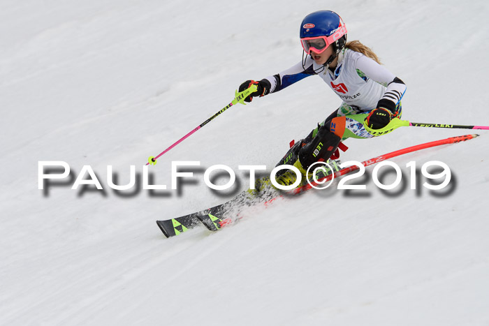 8. BZB CUP SL, 06.03.2019, Gudiberg